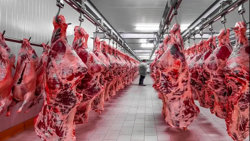قیمت گوشت