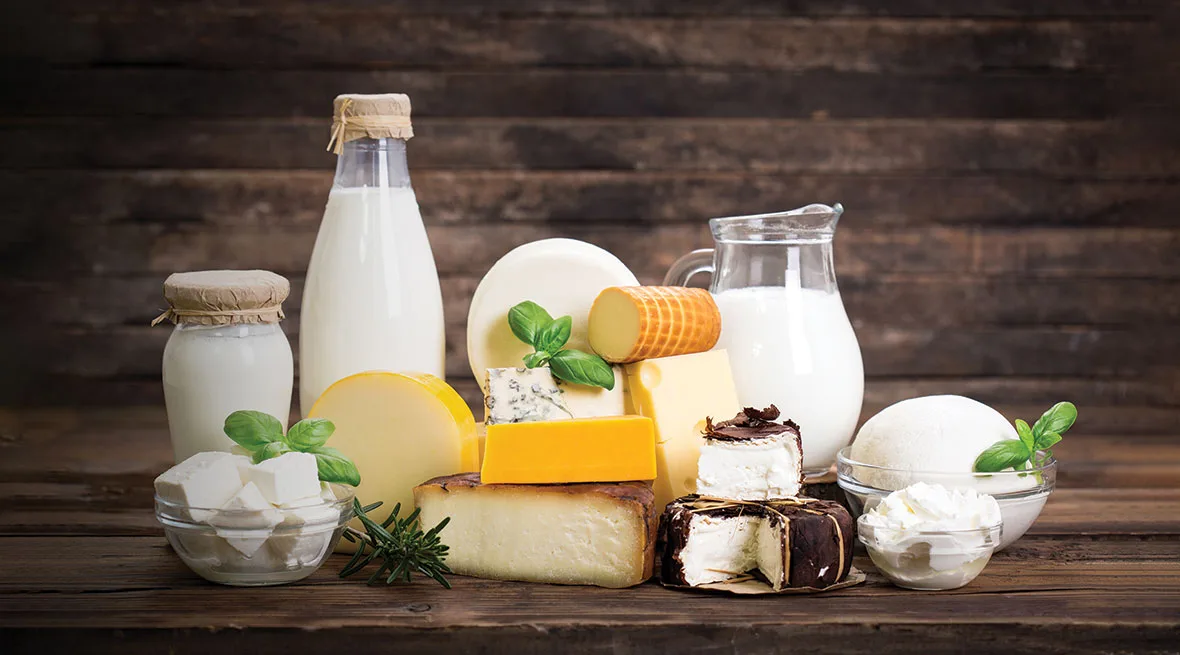 قیمت ماست و پنیر و لبنیات