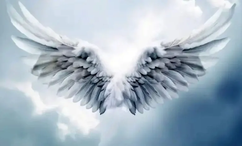 فال فرشتگان