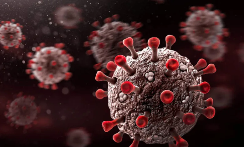 ویروس کرونا